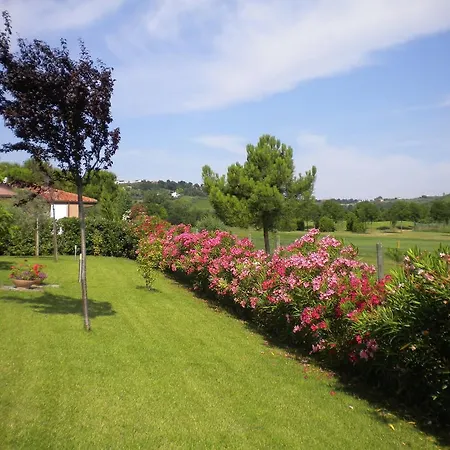 Quaint Villa In Miglianico With Terrace Villa *